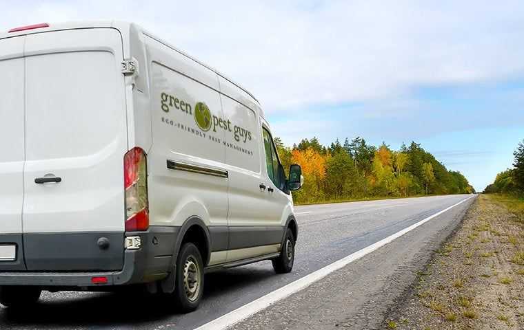 company van driving on the road